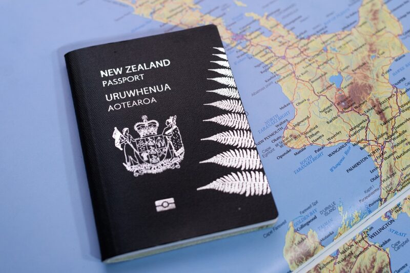 New Zealand Study Visa Consultant